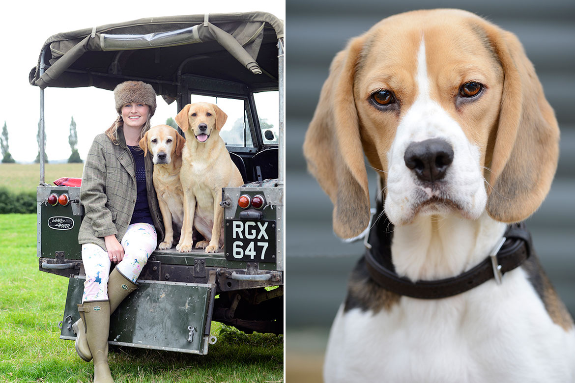 Suffolk Animal & Pet Photographer